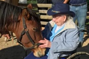 Woman in wheelchair petting a horse
