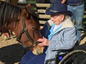 Woman in wheelchair petting a horse